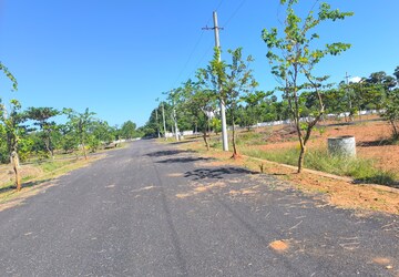 Plot Area in  Plot at Bhogapuram – for Sale