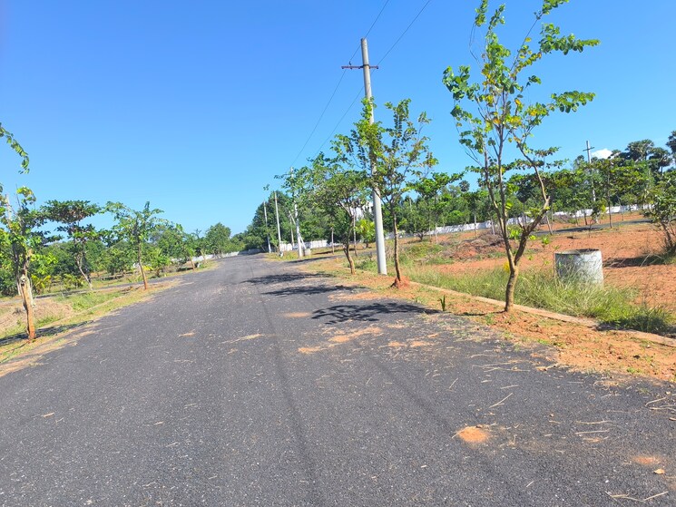 undefined, bhogapuram  200 Sq.Yd. Plot In Bhogapuram Vizag 9326185