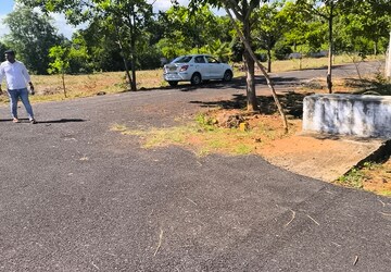 Plot Area in  Plot at Bhogapuram – for Sale