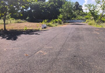 Plot Area in  Plot at Bhogapuram – for Sale