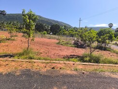 Plot For Sale in Bhogapuram