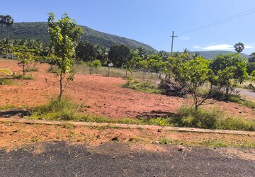 Plot For Sale in Bhogapuram
