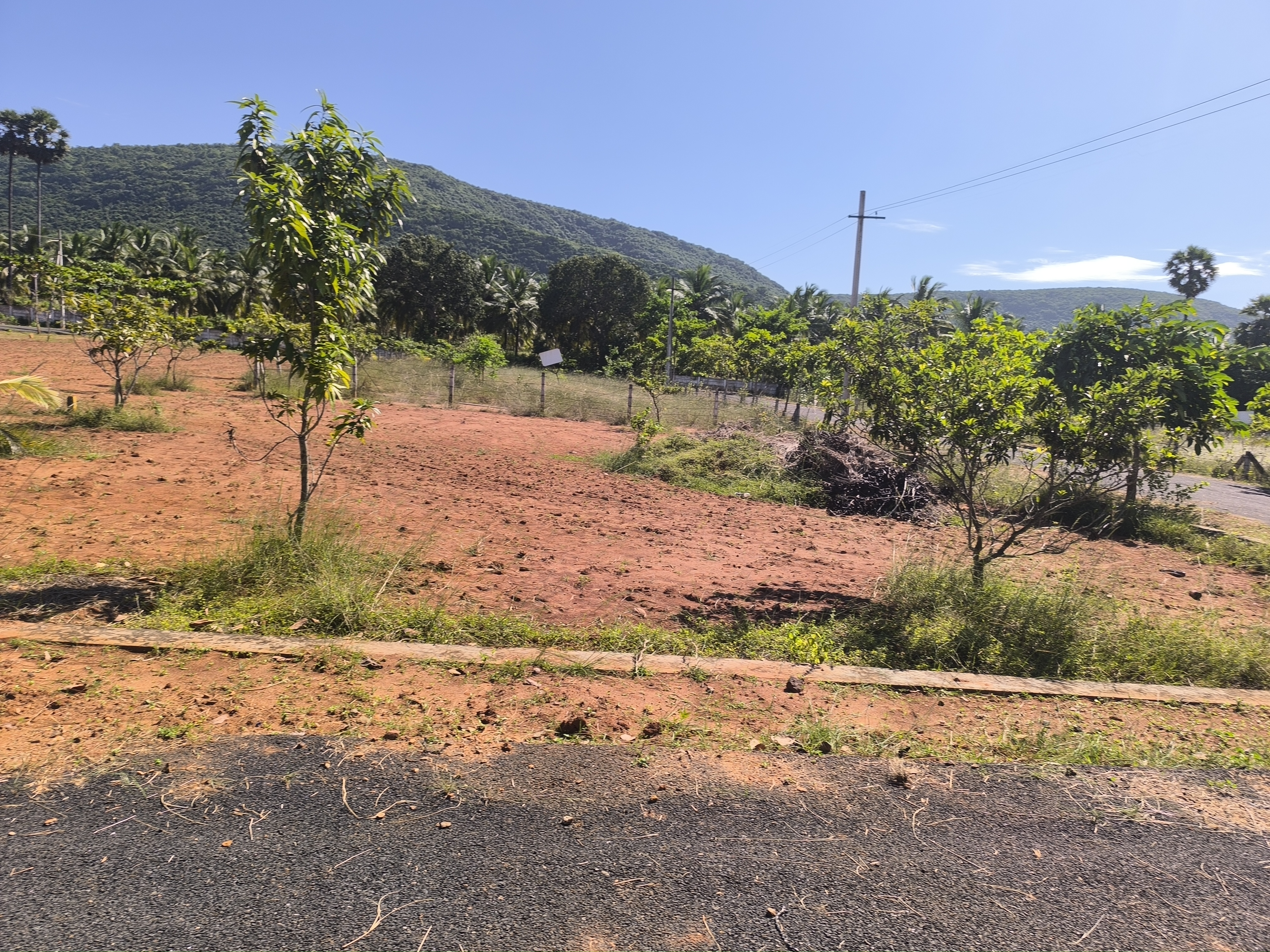 Plot For Sale in Vishnu Shoudha Tagarapuva