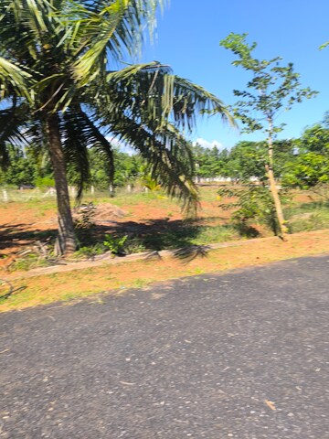 Plot Area in  Plot at Bheemili – for Sale