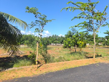  Plot For Sale in Bhogapuram