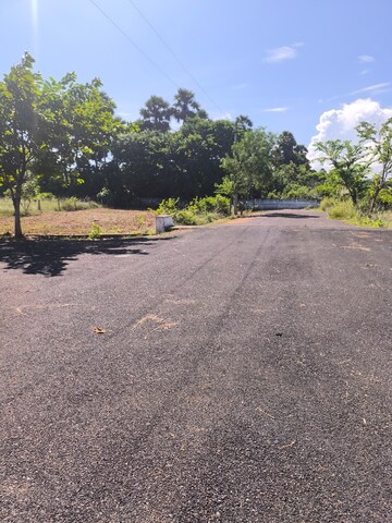 Plot Area in  Plot at Bhogapuram – for Sale
