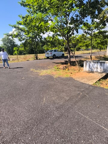 Plot Area in  Plot at Bhogapuram – for Sale