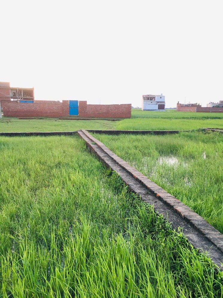 Garden, ramnagar  1222 Sq.Ft. Plot In Ramnagar Varanasi 9326197