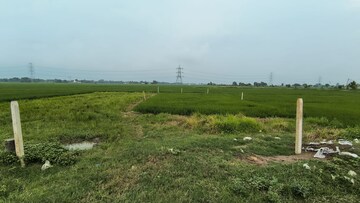  Plot For Sale in Bihta