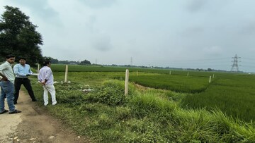 Plot Area in  Plot at Bihta – for Sale