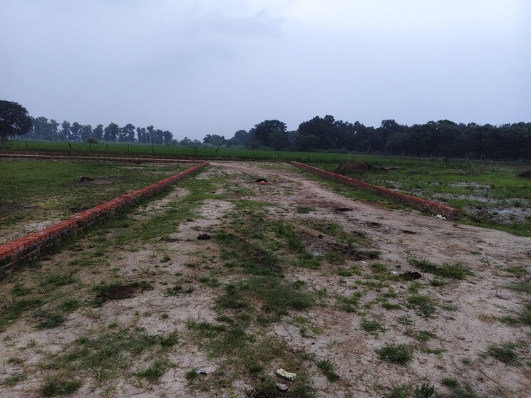 undefined, jankipuram extension  1000 Sq.Ft. Plot In Jankipuram Extension Lucknow 9326248