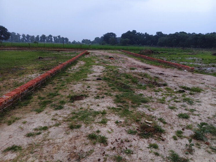 undefined, jankipuram extension  1000 Sq.Ft. Plot In Jankipuram Extension Lucknow 9326248