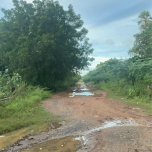  Land For Sale in Vanukuru