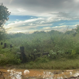 Plot Area in  Land at Vanukuru – for Sale