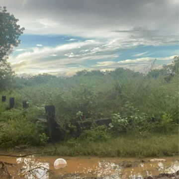 Plot Area in  Land at Vanukuru – for Sale