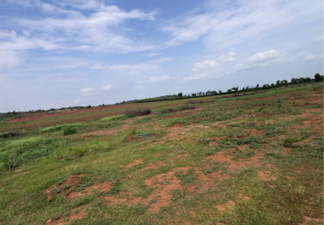 Plot Area in  Land at Vijayawada One Town – for Sale