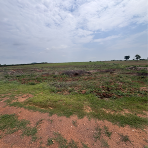 Plot Area in  Land at Vijayawada One Town – for Sale