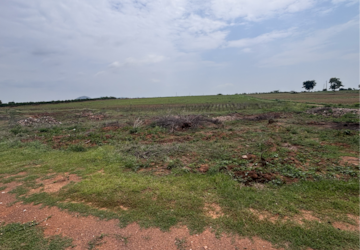 Plot Area in  Land at Vijayawada One Town – for Sale