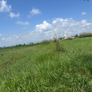 Plot Area in  Land at Vijayawada One Town – for Sale