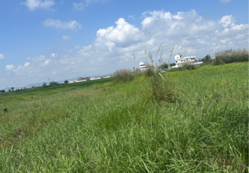 Plot Area in  Land at Vijayawada One Town – for Sale