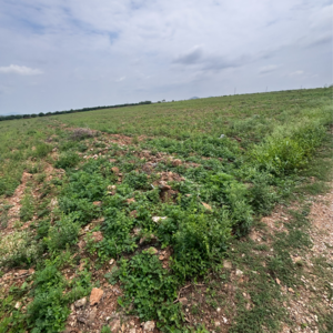  Land – Garden View at Vijayawada One Town - for Sale