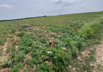 Land – Garden View at Vijayawada One Town - for Sale