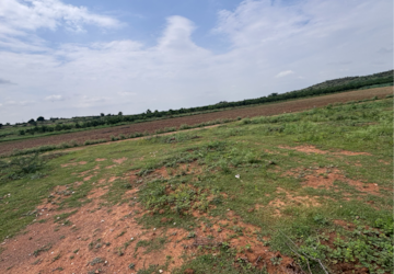 Plot Area in  Land at Vijayawada One Town – for Sale