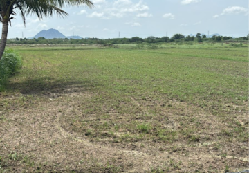 Plot Area in  Land at Vijayawada One Town – for Sale