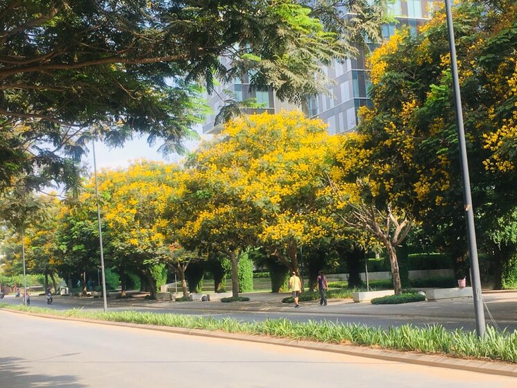 Garden, bhartiya-nikoo-homes-phase-2 2 Bedroom 1098 Sq.Ft. Apartment In Thanisandra Main Road Bangalore 9326506