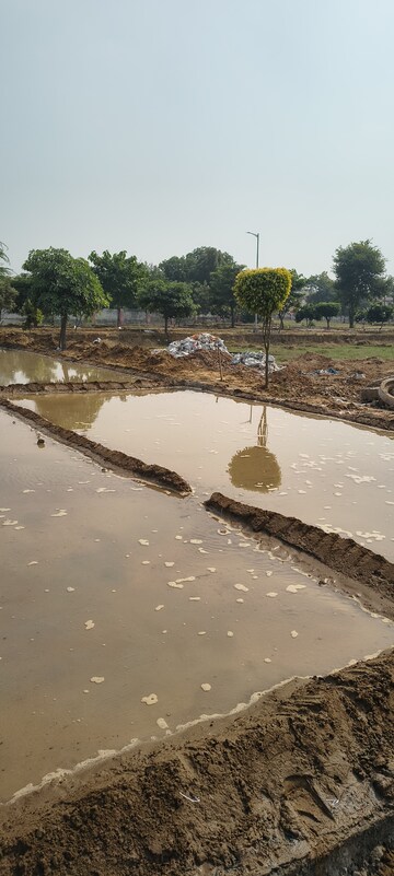  Plot – Exterior View View at Sujanpur - for Sale