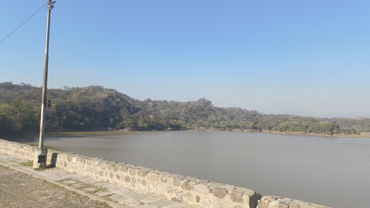 undefined, mullanpur  1205 Sq.Yd. Plot In Mullanpur Mohali 9326711