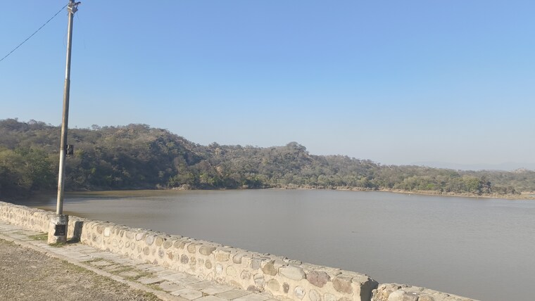 undefined, mullanpur  1205 Sq.Yd. Plot In Mullanpur Mohali 9326711