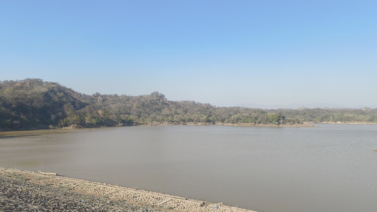 Exterior View, mullanpur  1205 Sq.Yd. Plot In Mullanpur Mohali 9326711