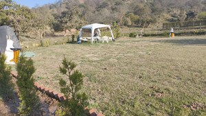 Plot Area in  Plot at Mullanpur – for Sale