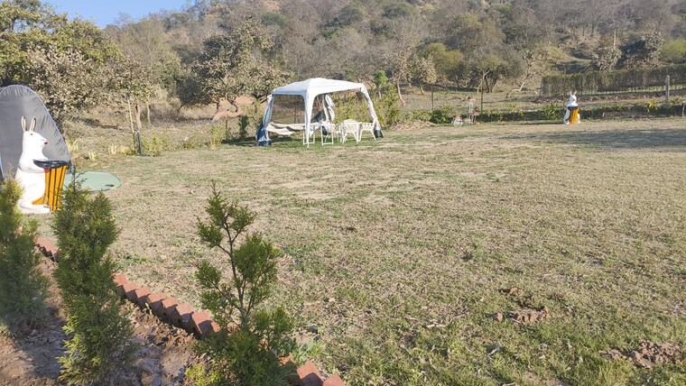 undefined, mullanpur  1205 Sq.Yd. Plot In Mullanpur Mohali 9326711