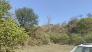 Plot Area in  Plot at Mullanpur – for Sale