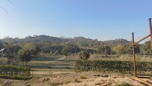 Plot Area in  Plot at Mullanpur – for Sale