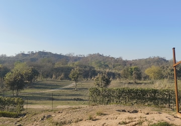 Plot Area in  Plot at Mullanpur – for Sale