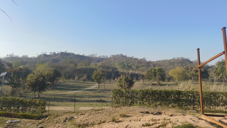 undefined, mullanpur  1205 Sq.Yd. Plot In Mullanpur Mohali 9326711