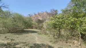 Plot Area in  Plot at Mullanpur – for Sale