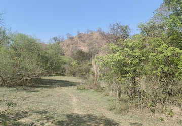 Plot Area in  Plot at Mullanpur – for Sale