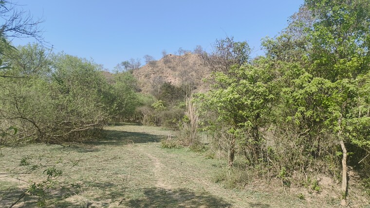 undefined, mullanpur  1205 Sq.Yd. Plot In Mullanpur Mohali 9326711