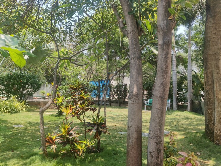 Garden, mc-sarovar 2 Bedroom 1077 Sq.Ft. Apartment In Kr Puram Bangalore 9326748