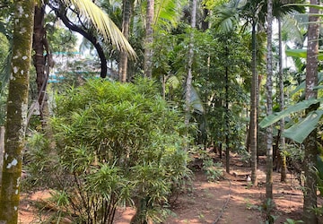 Plot For Sale in Alibag