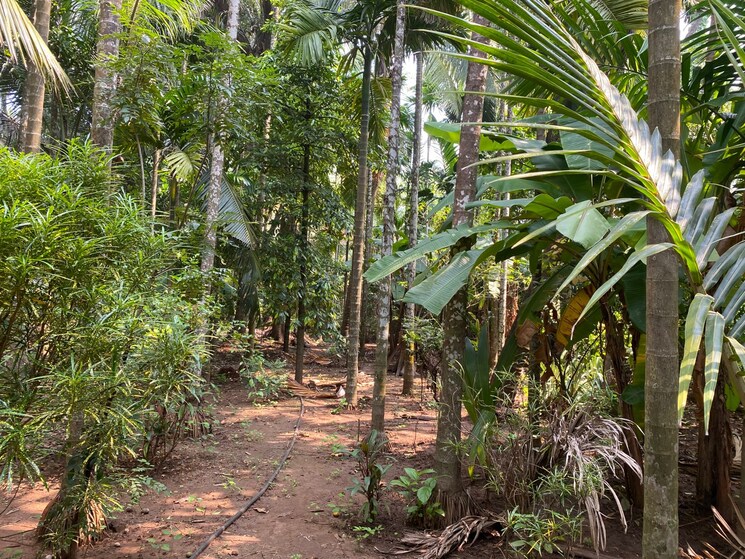 undefined, alibag  8500 Sq.Ft. Plot In Alibag Raigad 9326747