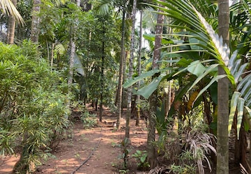 Plot Area in  Plot at Alibag – for Sale