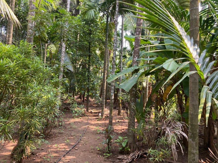 undefined, alibag  8500 Sq.Ft. Plot In Alibag Raigad 9326747