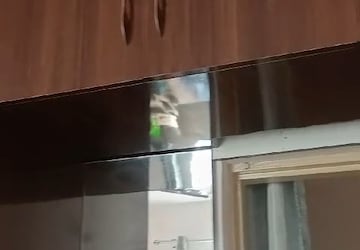 Kitchen in 2 BHK Apartment at Avalon Gardens, Alwar Bypass Road – for Sale
