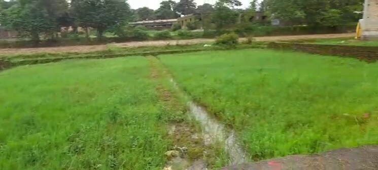 Garden, kathal more road  2178 Sq.Ft. Plot In Kathal More Road Ranchi 9327113