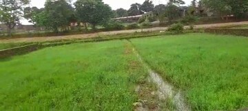 Plot Area in  Plot at Kathal More Road – for Sale